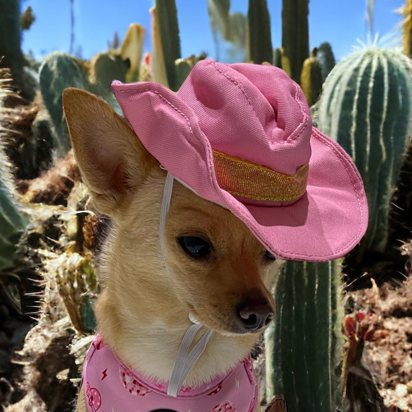 Cowboy Party Hat - Pink - Pooch Luxury