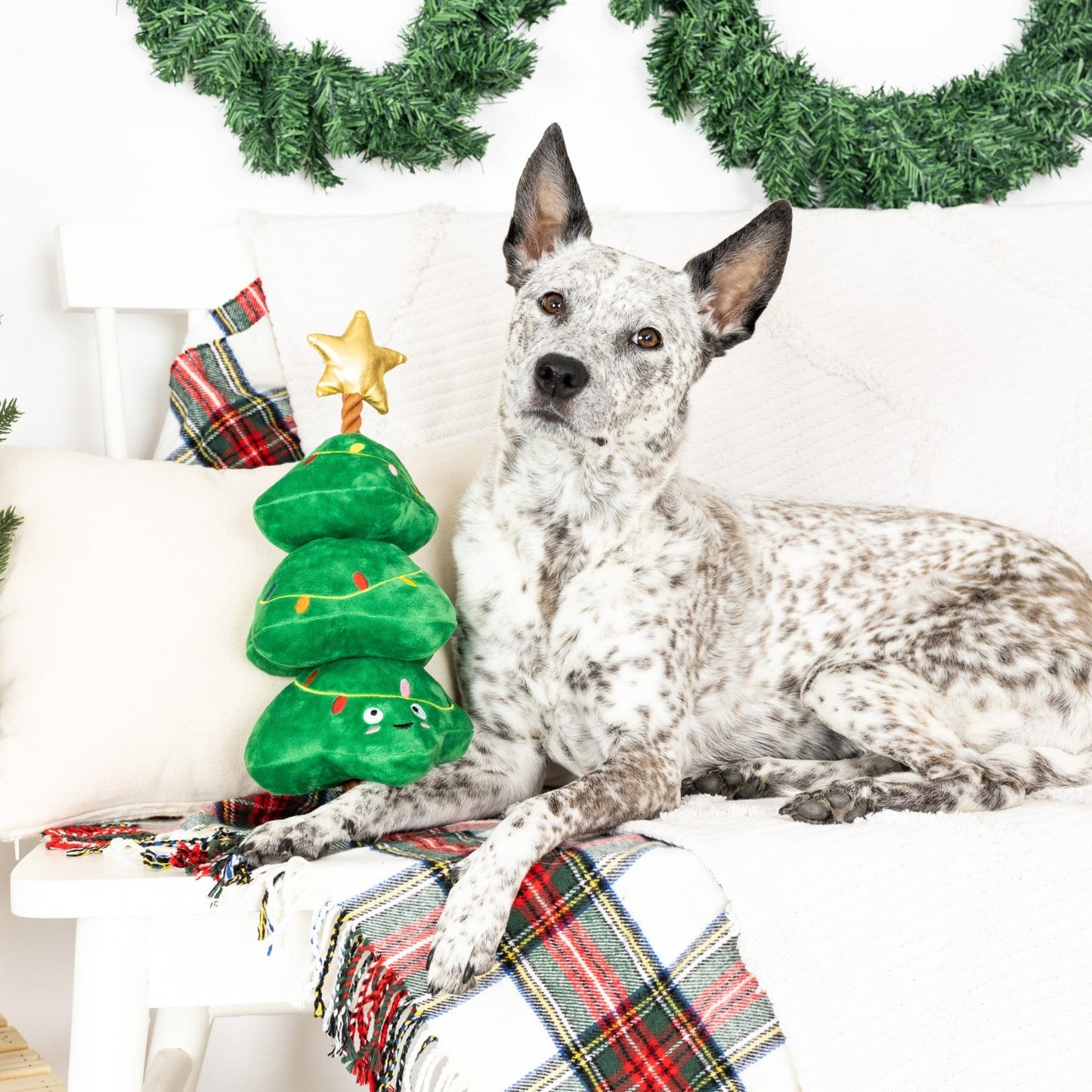 Fringe Studio - Light Me Up Dog Toy - Pooch Luxury