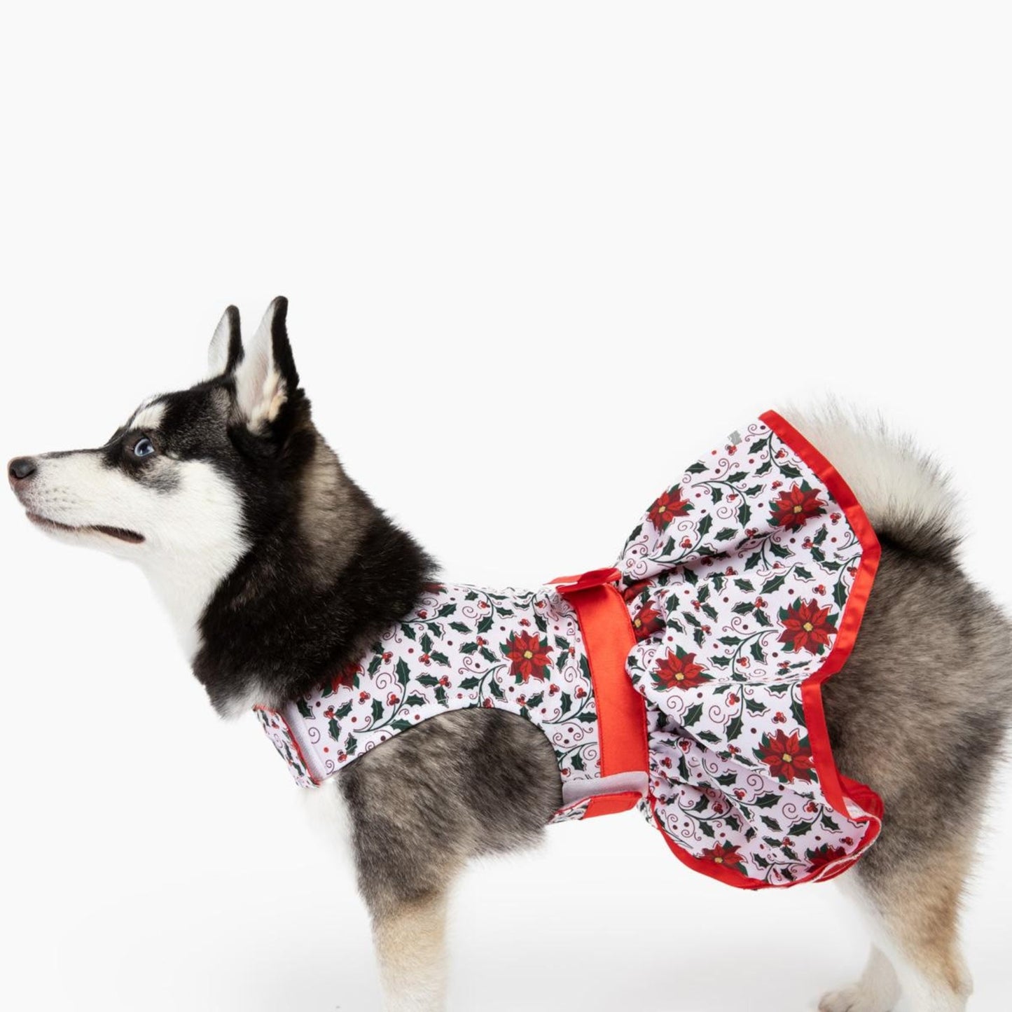 Holiday Dog Harness Dress - Holly - Pooch Luxury