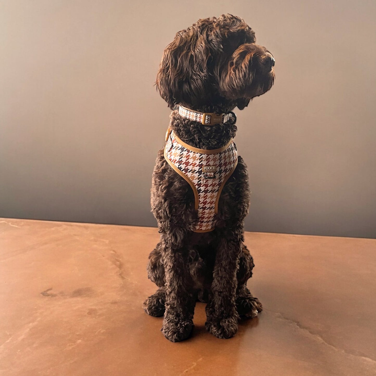 Houndstooth - Beau Adjustable Dog Harness - Pooch Luxury