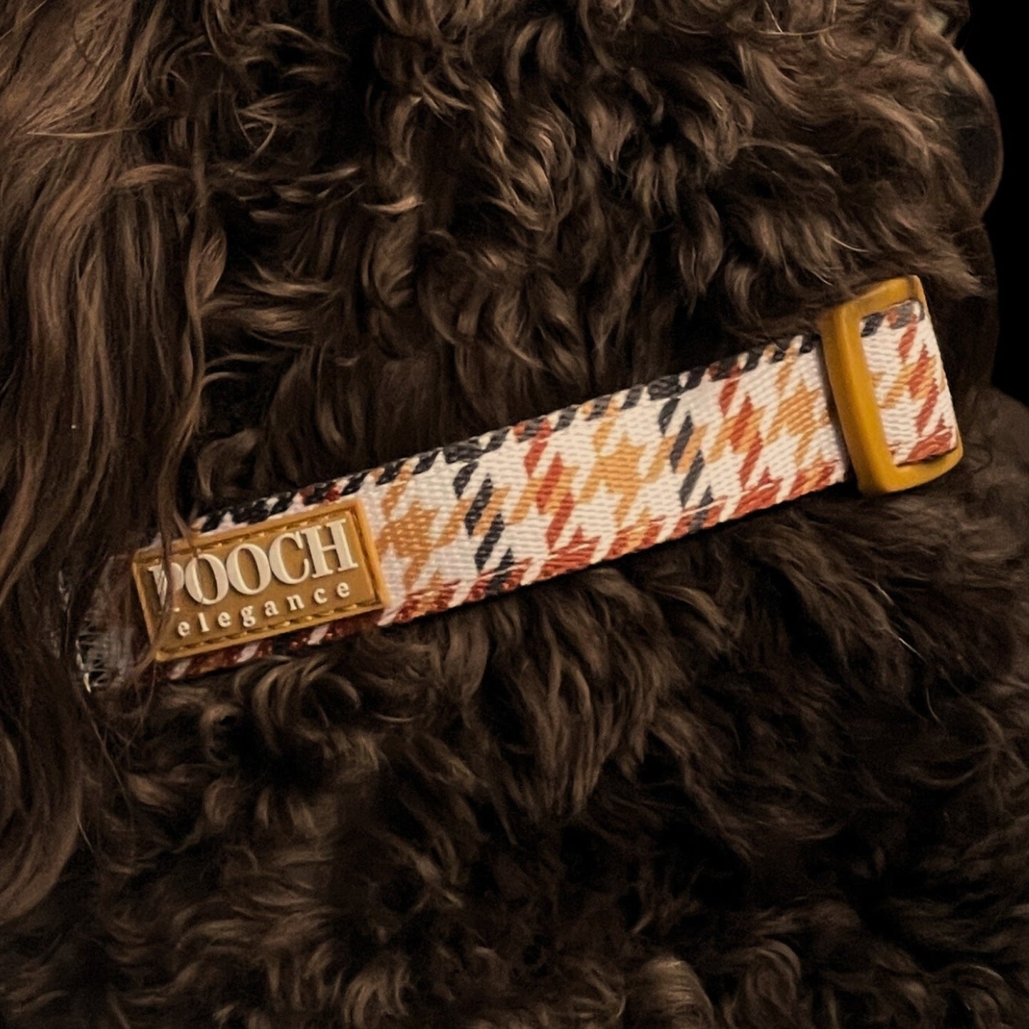 Houndstooth - Beau Dog Collar - Pooch Luxury
