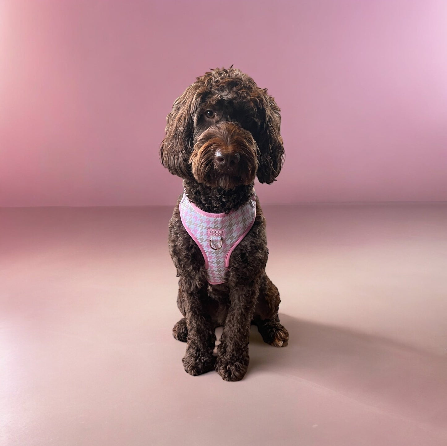 Houndstooth - Belle Adjustable Dog Harness - Pooch Luxury