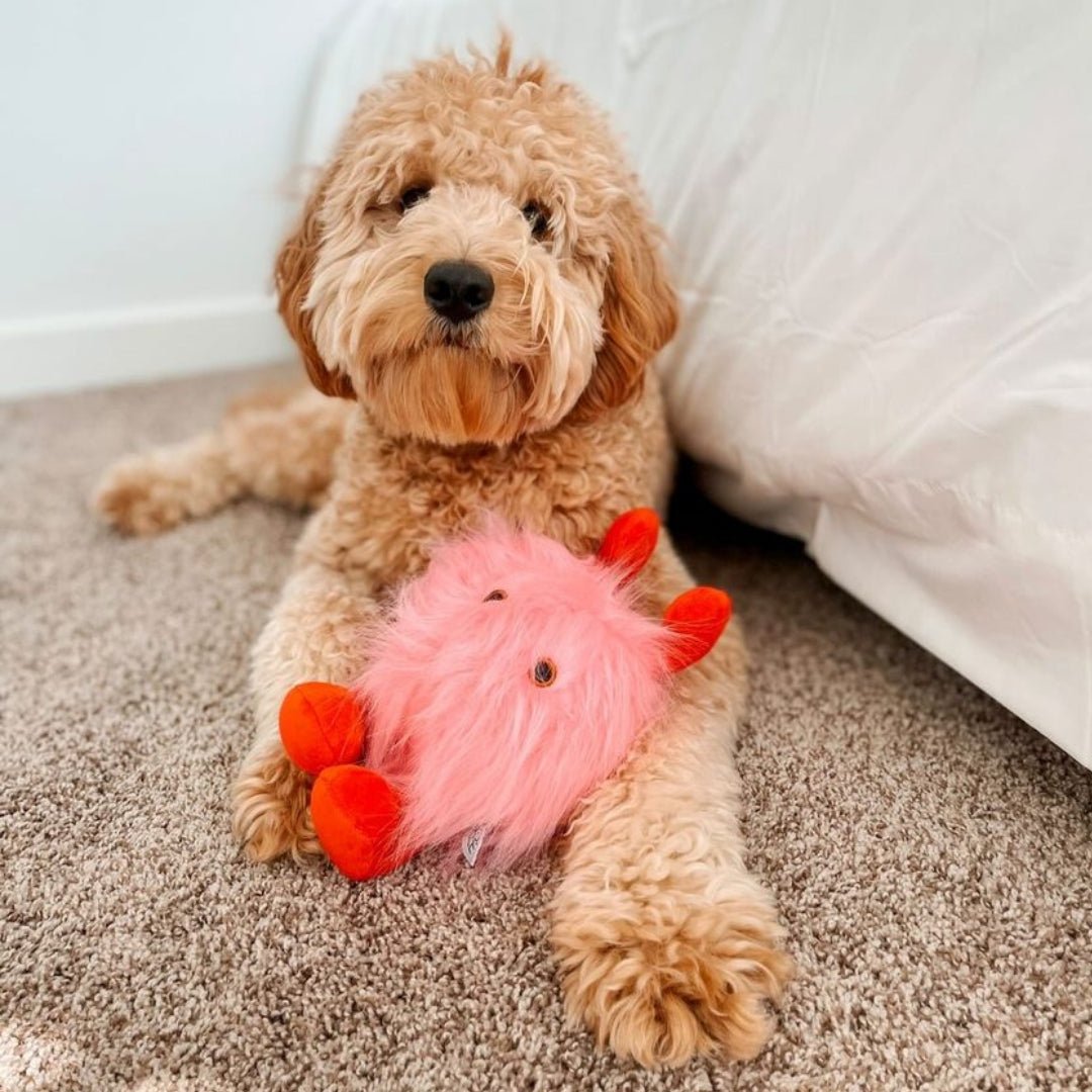 Love Bug Valentine's Day Dog Toy - Pooch Luxury