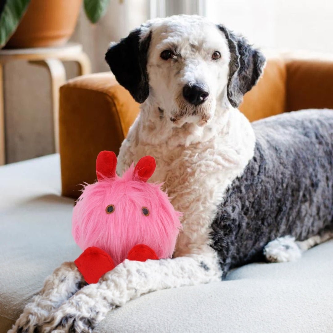 Love Bug Valentine's Day Dog Toy - Pooch Luxury