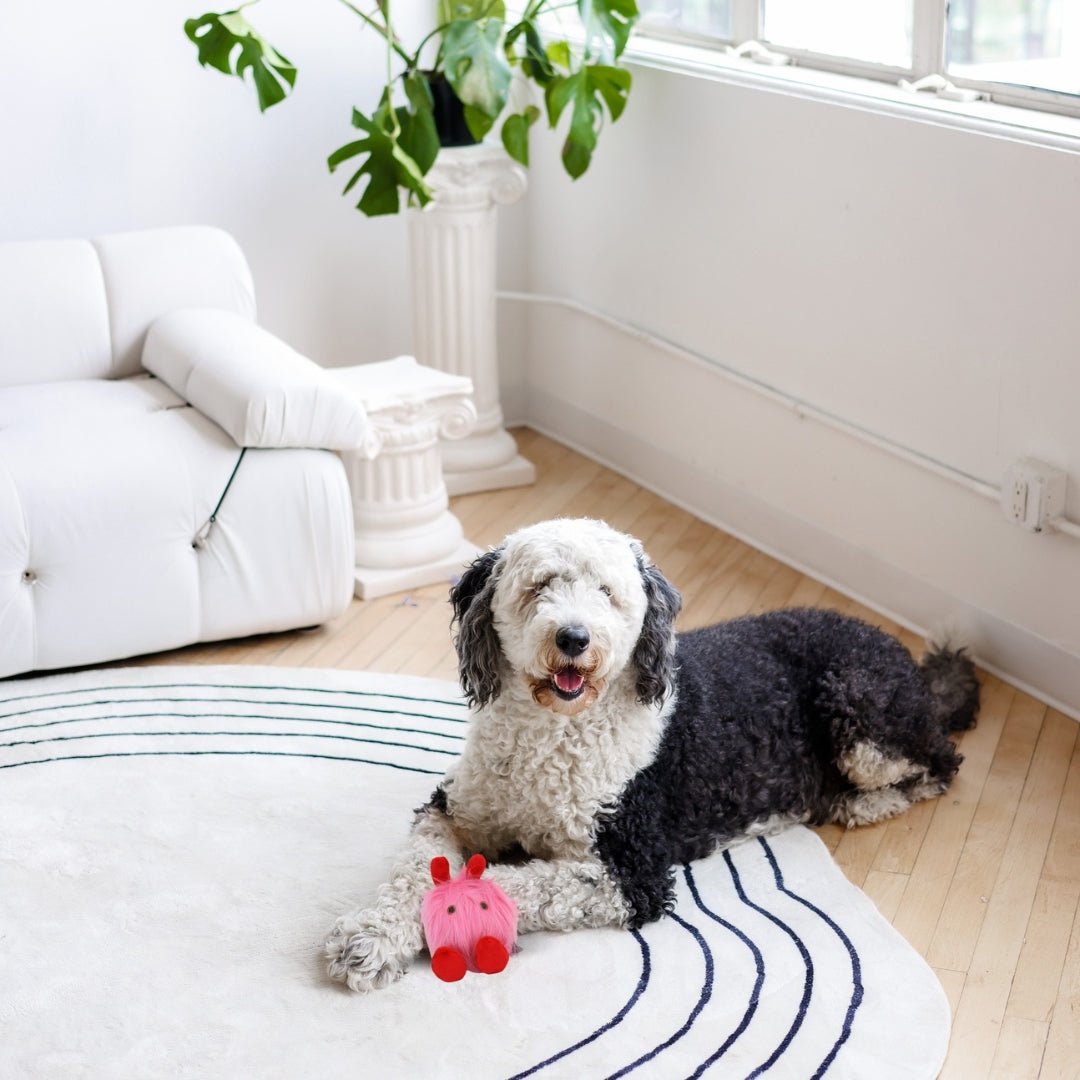 Love Bug Valentine's Day Dog Toy - Pooch Luxury