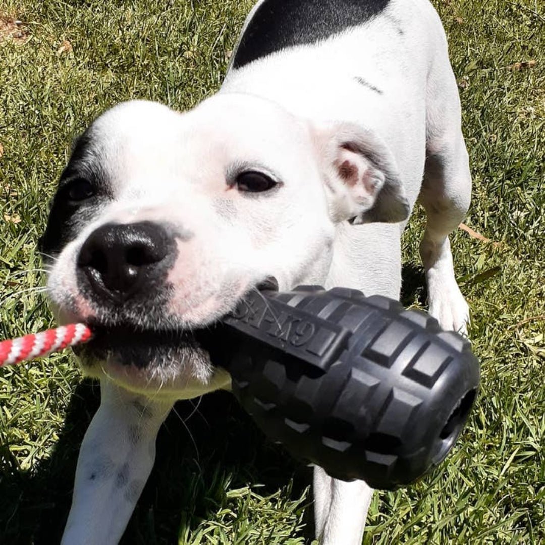 Magnum Grenade Reward Toy (Power Chewers) - Pooch Luxury