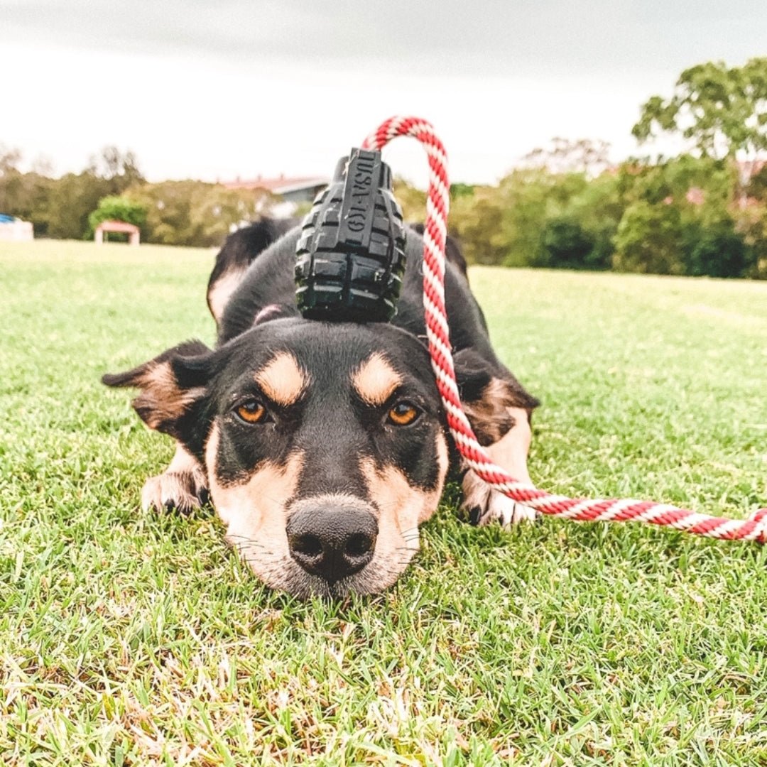 Magnum Grenade Reward Toy (Power Chewers) - Pooch Luxury