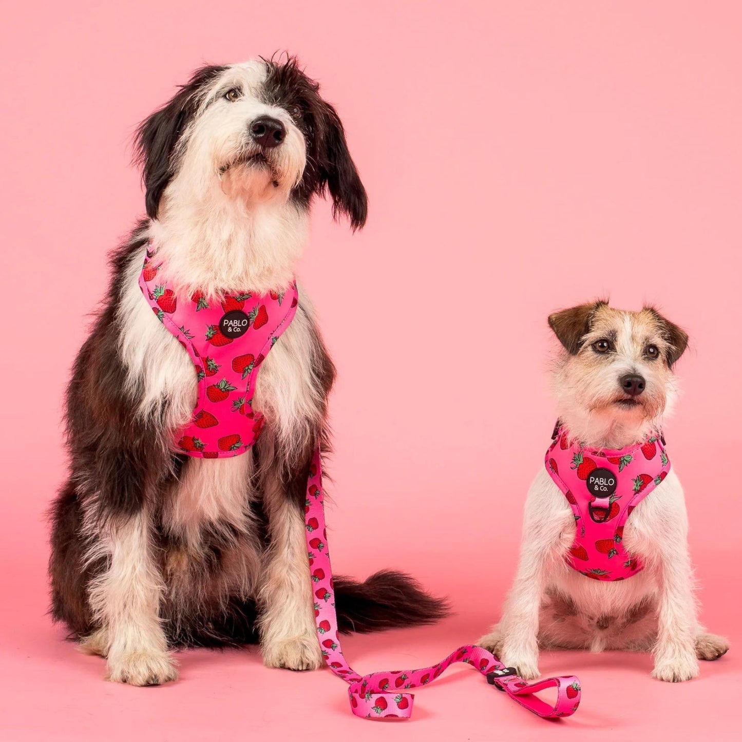 Strawberries Adjustable Harness - Pooch Luxury