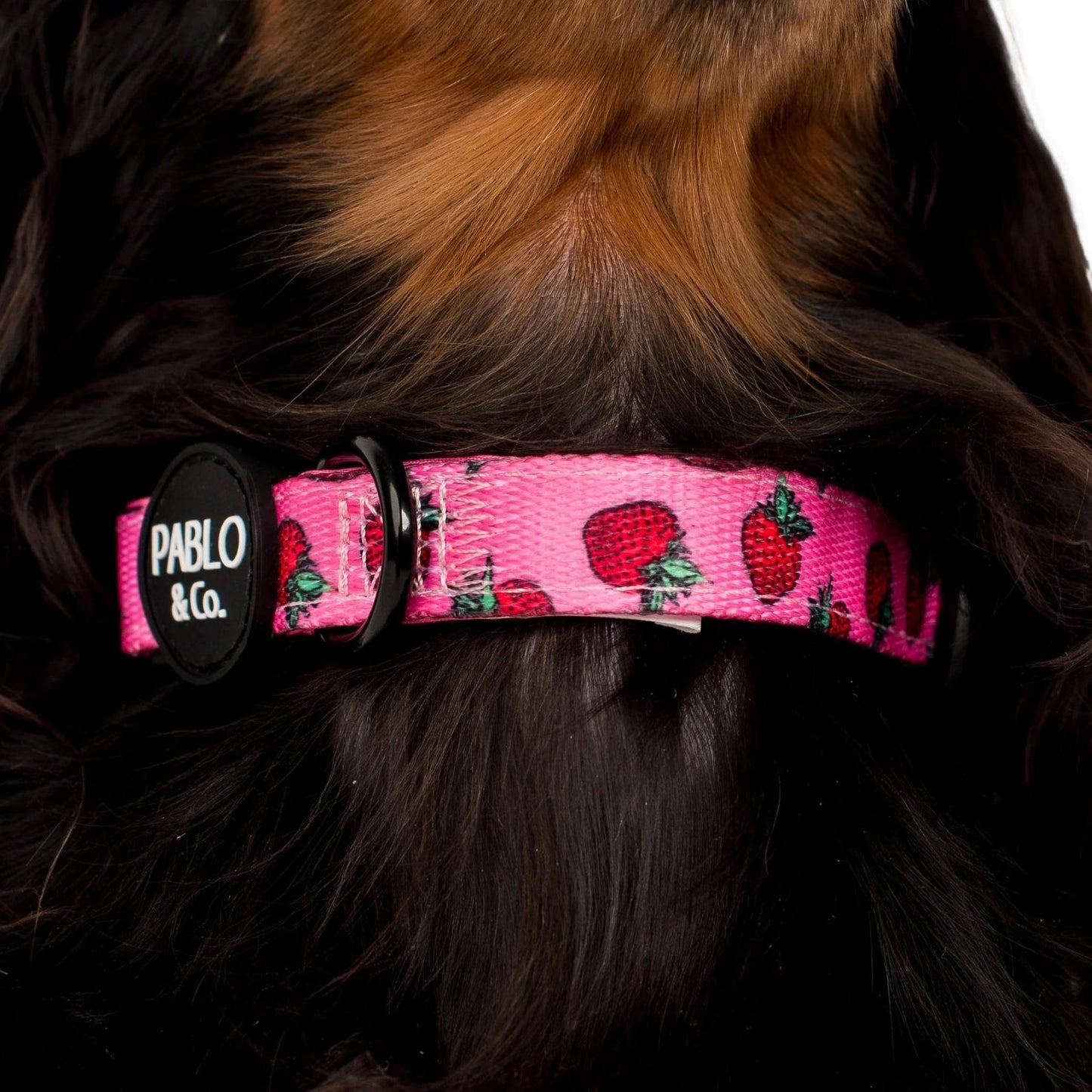 Strawberries Dog Collar - Pooch Luxury