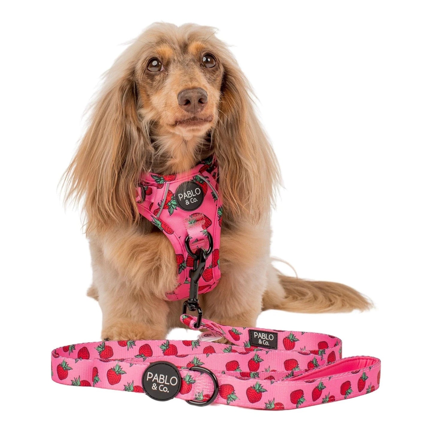 Strawberries Dog Leash - Pooch Luxury