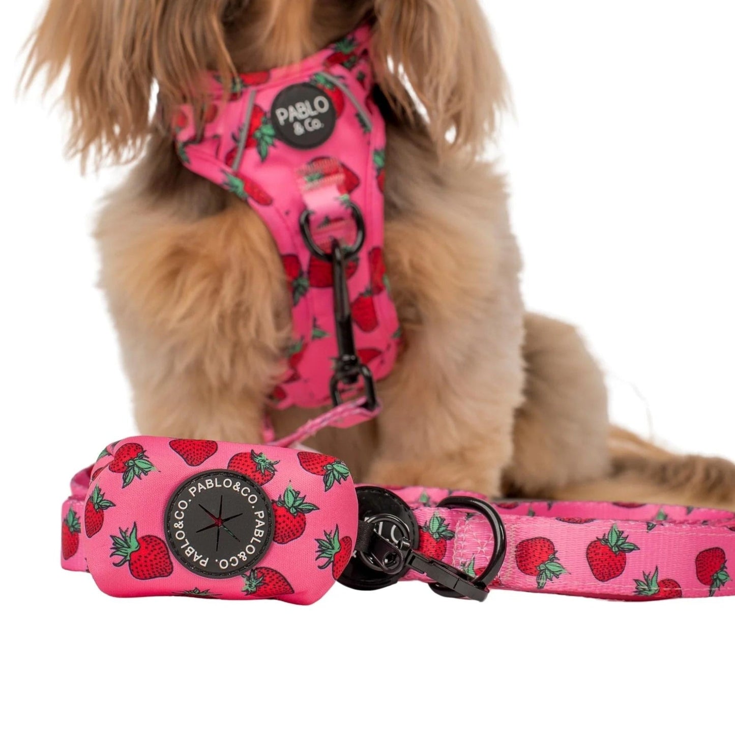 Strawberries Poop Bag Holder - Pooch Luxury