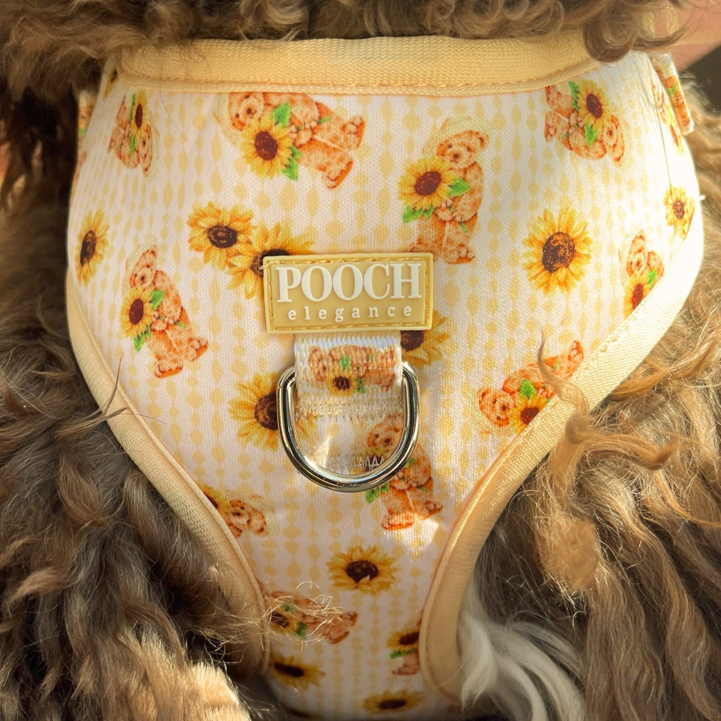 Sunflower Bears Adjustable Dog Harness - Pooch Luxury