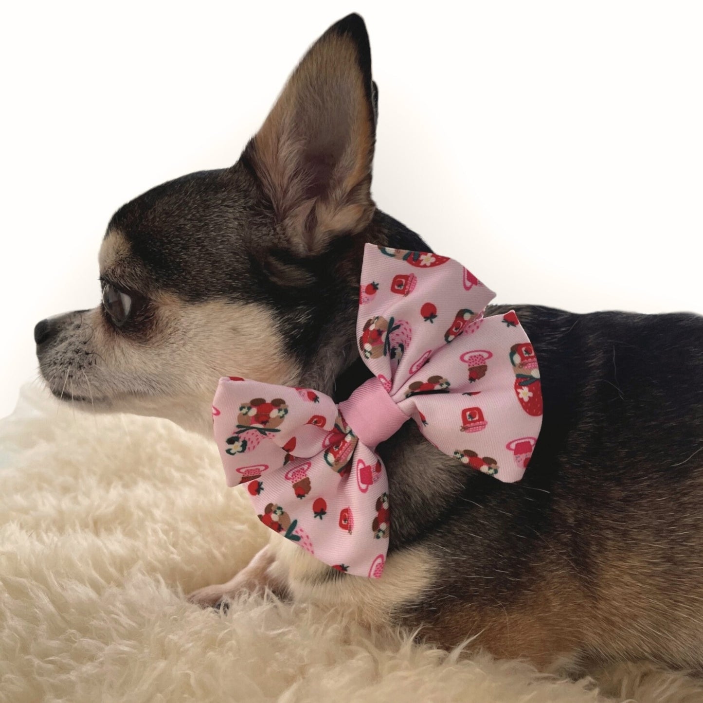 Sweetberry Picnic Sailor Bow Tie - Pooch Luxury