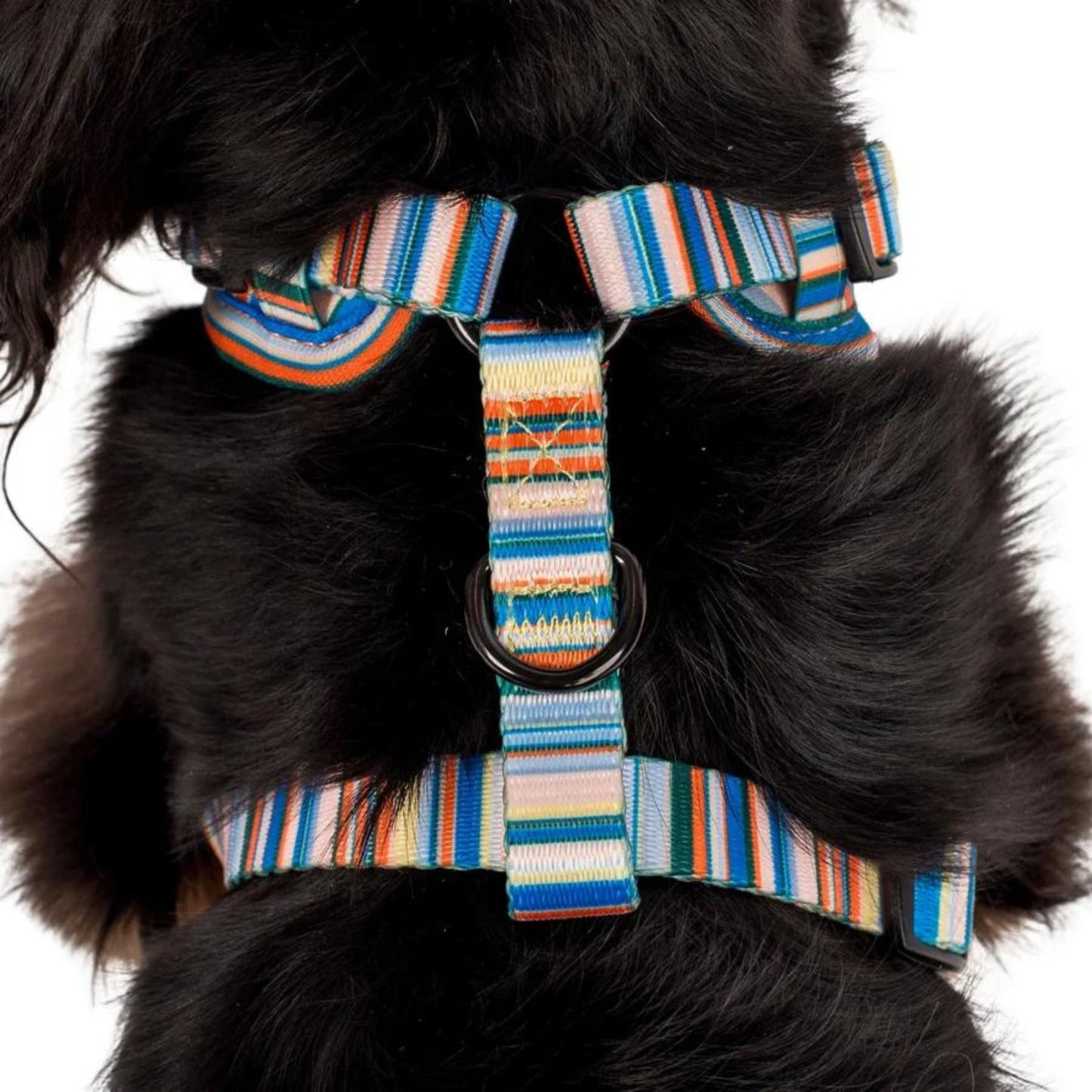 The Cabana Adjustable Dog Harness - Pooch Luxury
