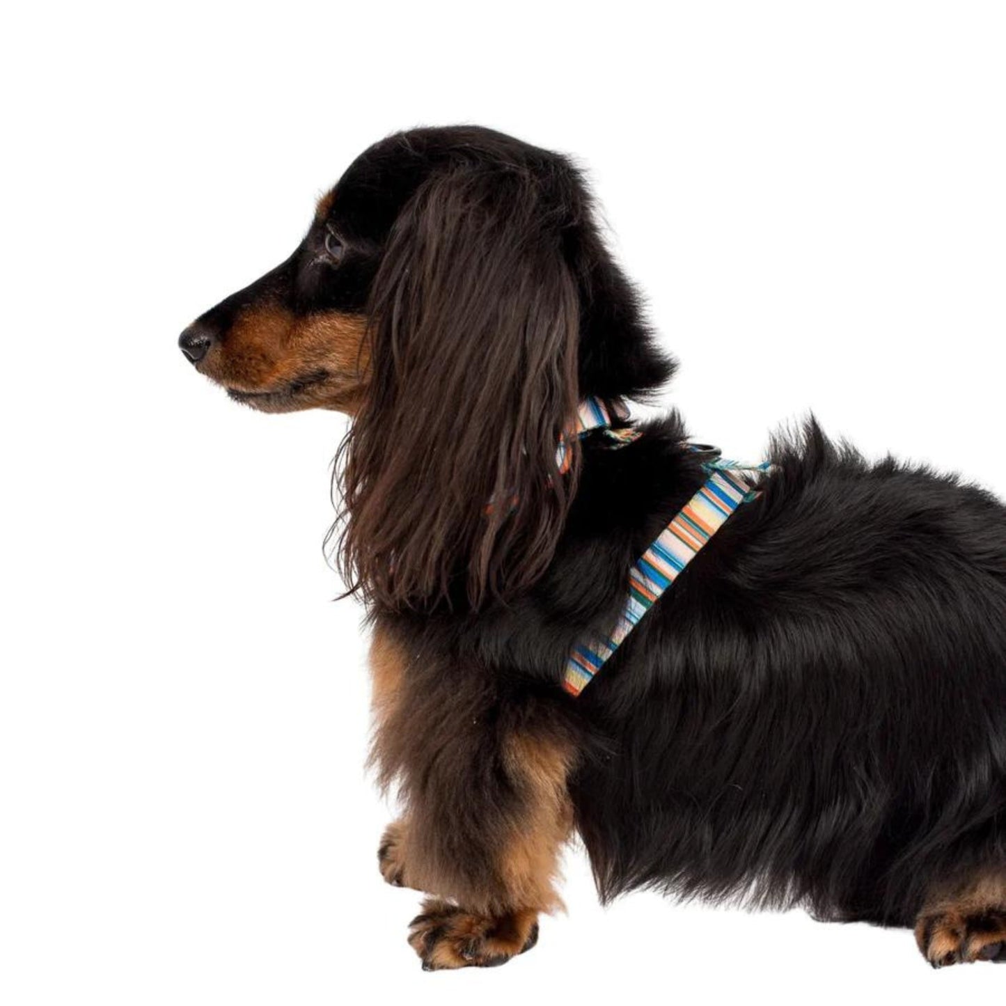 The Cabana Adjustable Dog Harness - Pooch Luxury