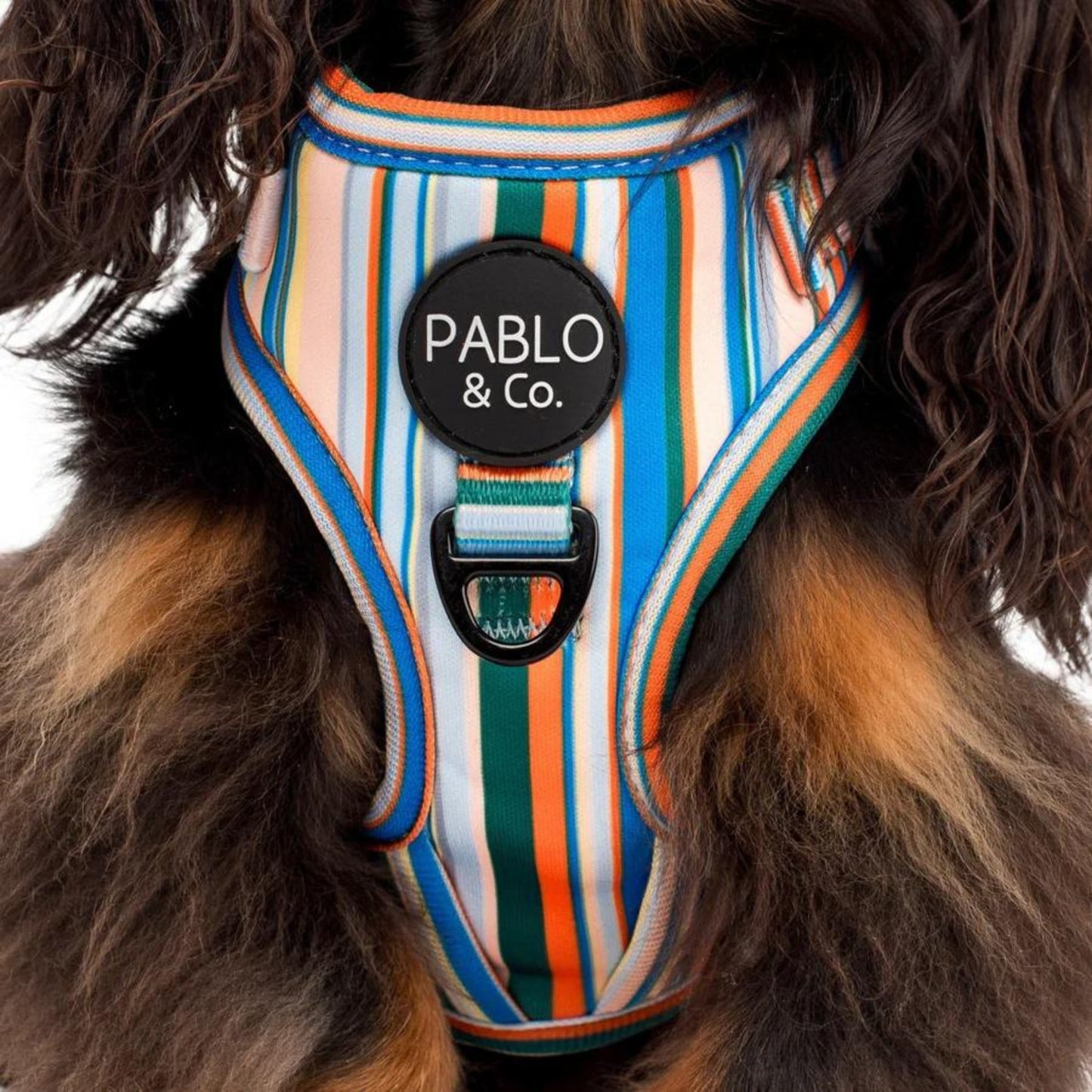 The Cabana Adjustable Dog Harness - Pooch Luxury