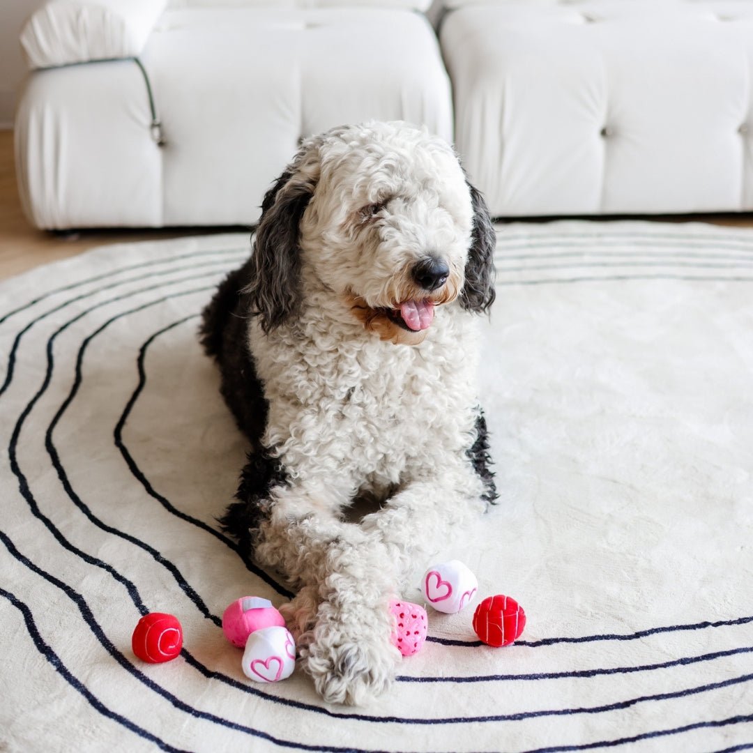 Valentine Plush Balls Dog Toy - Pooch Luxury