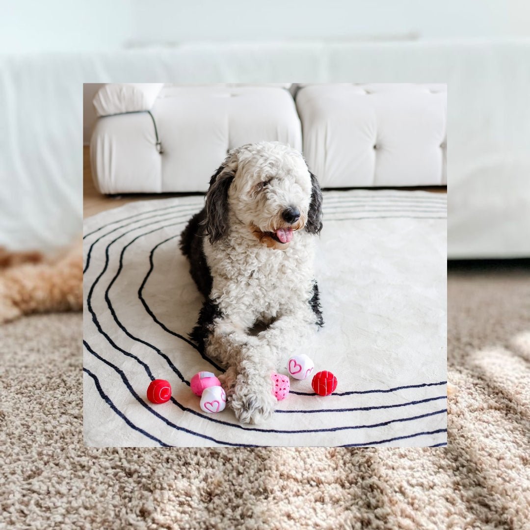 Valentine Plush Balls Dog Toy - Pooch Luxury