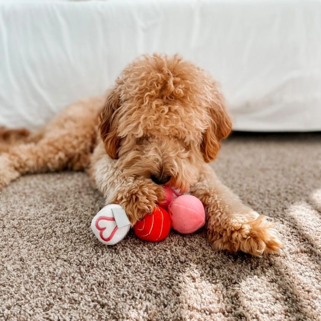 Valentine Plush Balls Dog Toy - Pooch Luxury