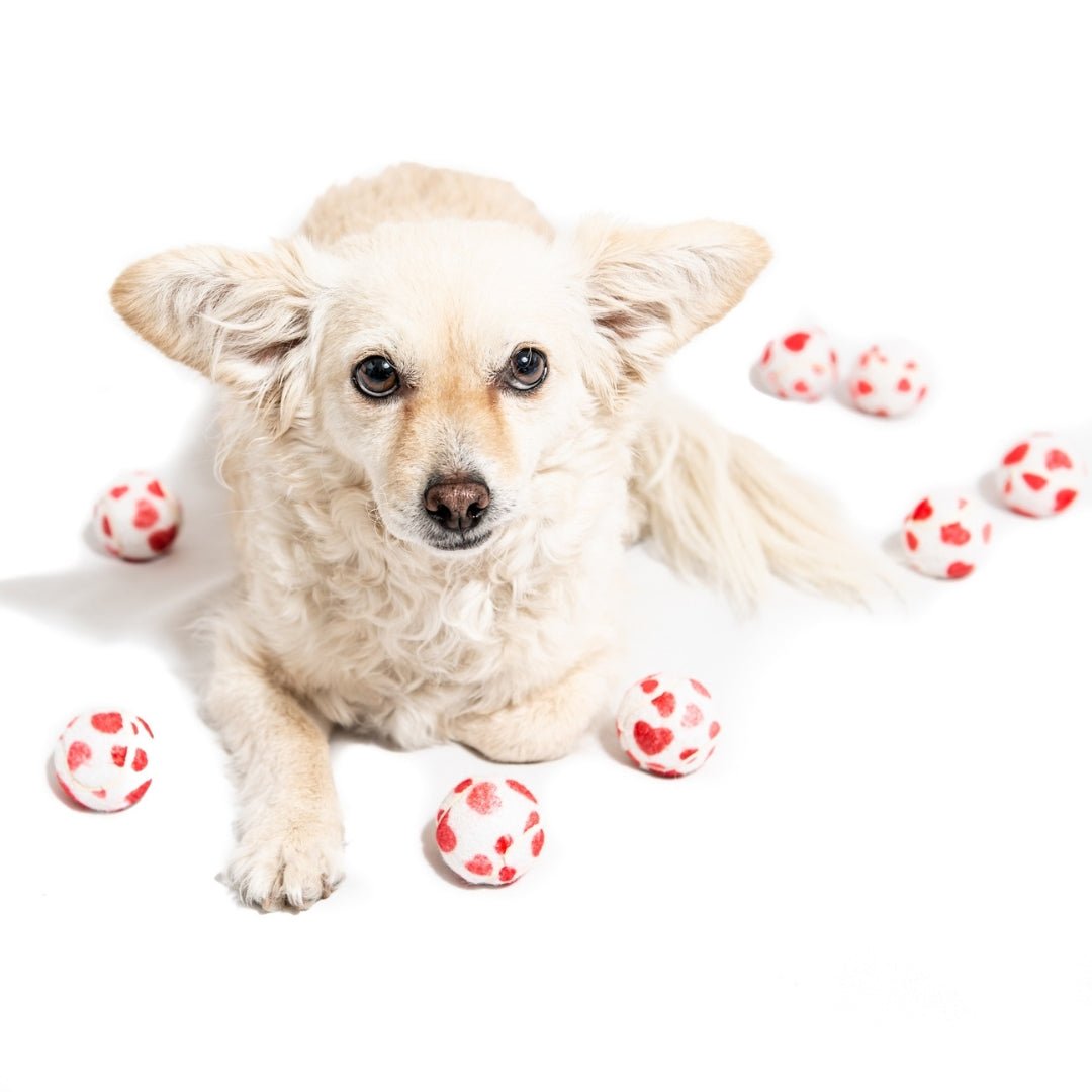 Valentine's Hearts Dog Tennis Balls - Pooch Luxury