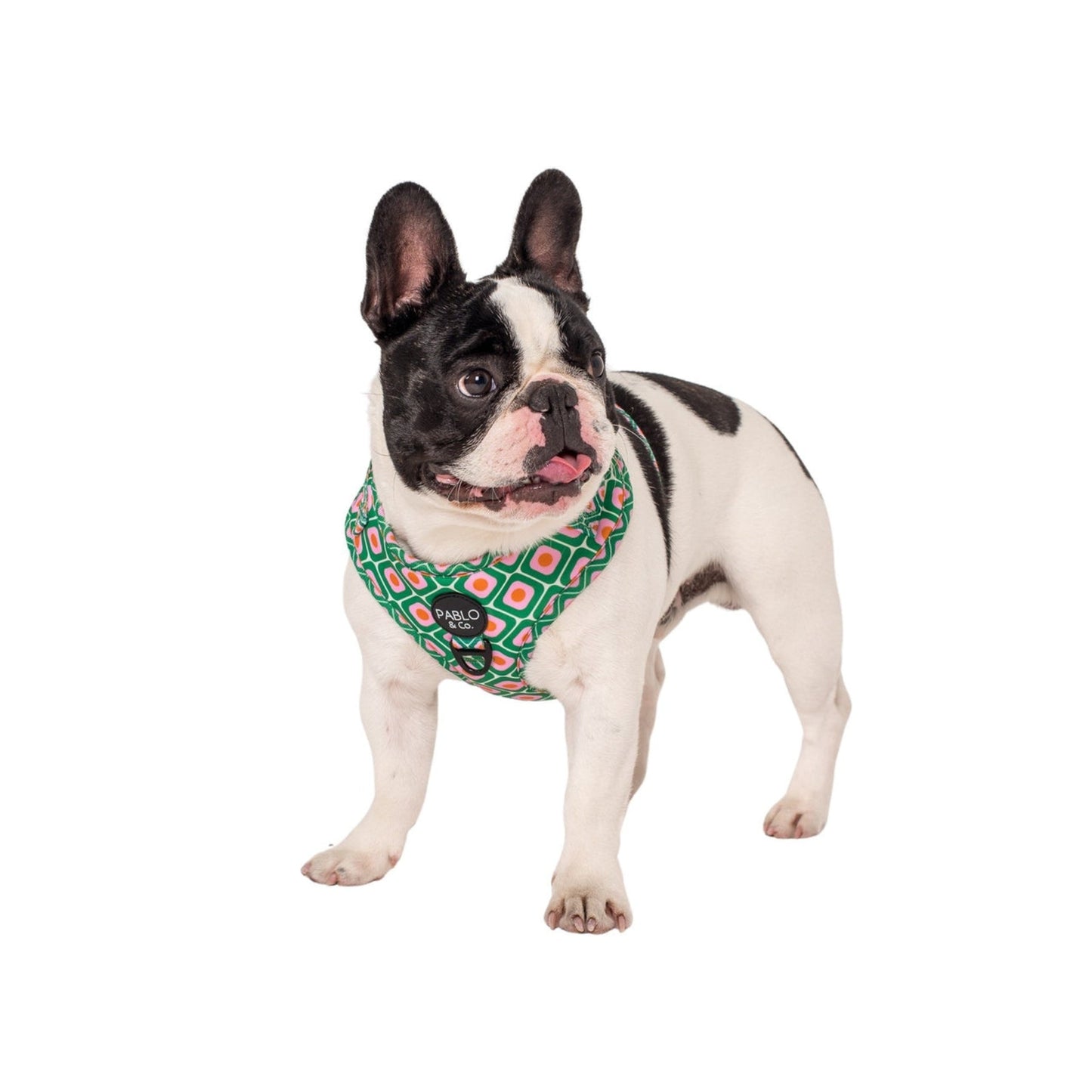 70's Style Adjustable Harness - Pooch Luxury