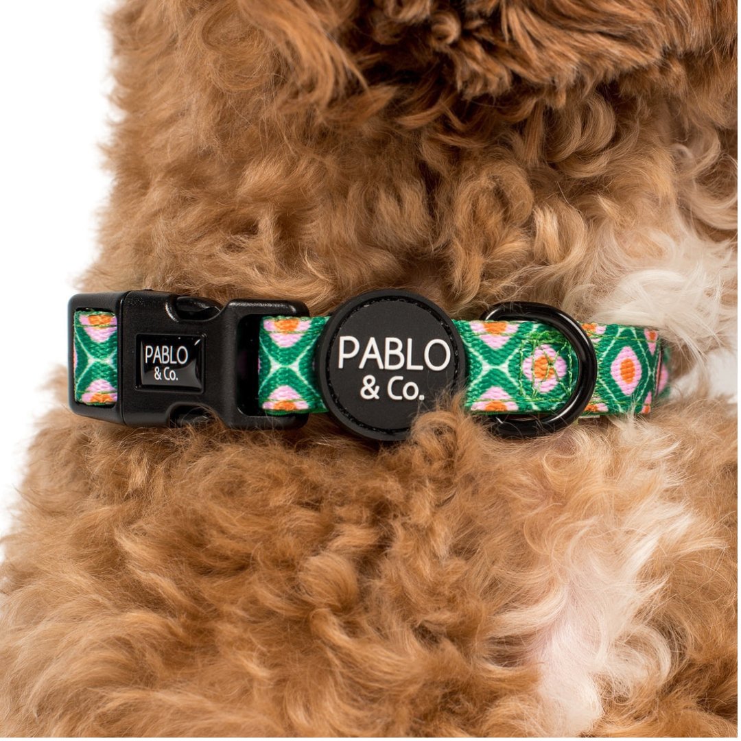 70's Style Collar - Pooch Luxury