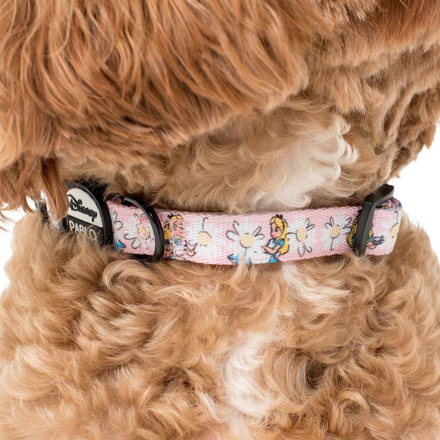 Alice In Wonderland Dog Collar - Pooch Luxury