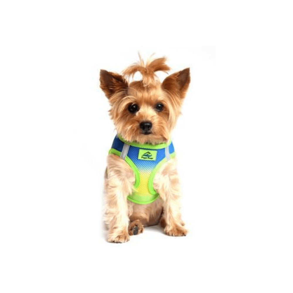 American top river harness