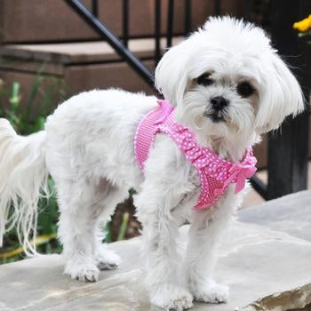 
                  
                    American River Choke Free Dog Harness - Pink Polka Dot - Pooch Luxury
                  
                