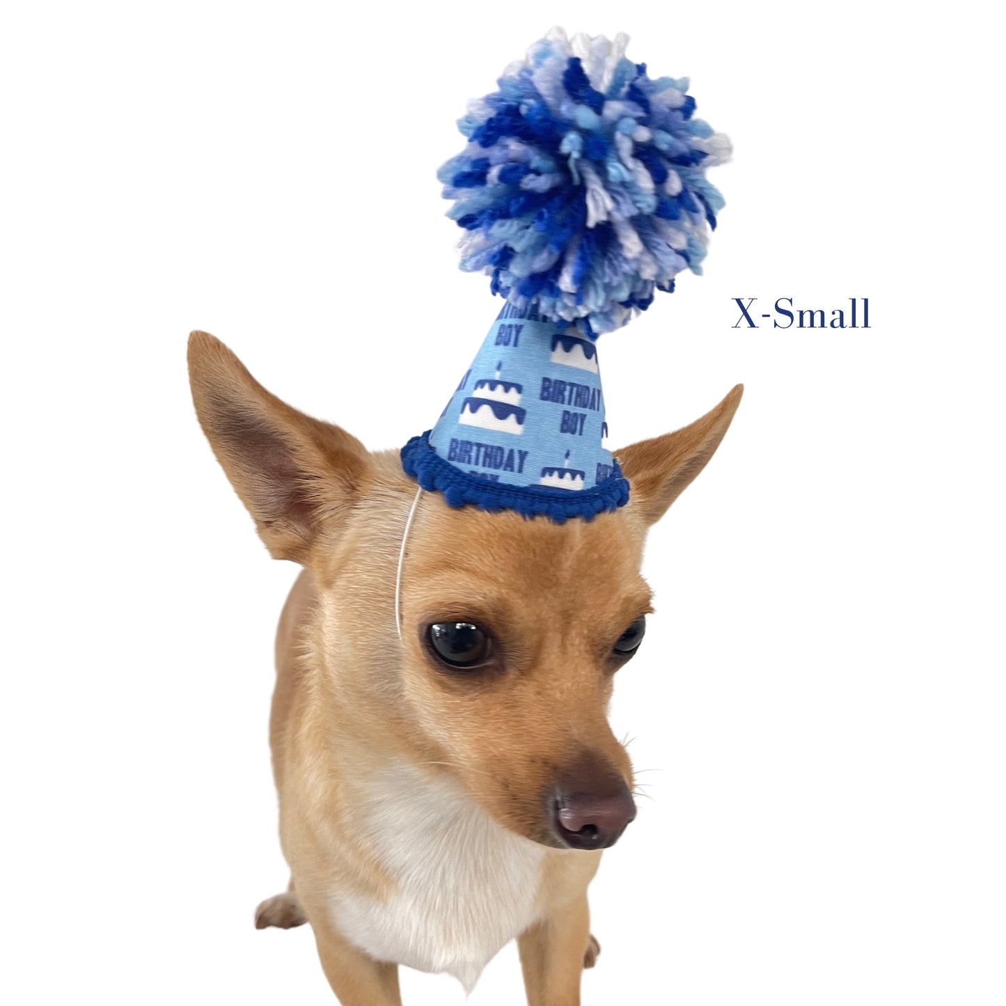 Birthday Boy Blue Ink - Pooch Luxury