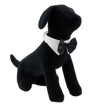 Black Satin Bow Tie with White Cotton Collar - Pooch Luxury