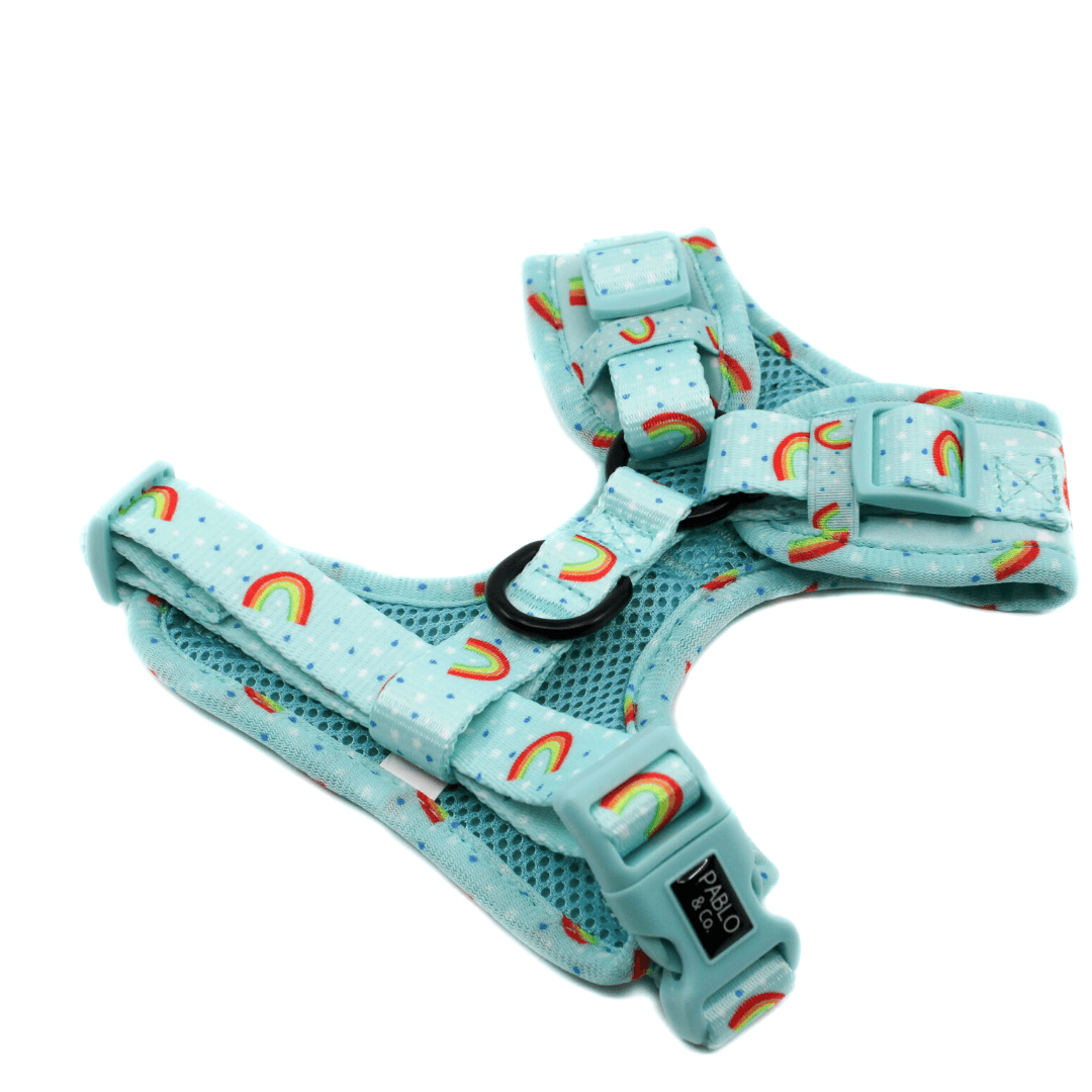 Blue Rainbows Adjustable Harness - Pooch Luxury