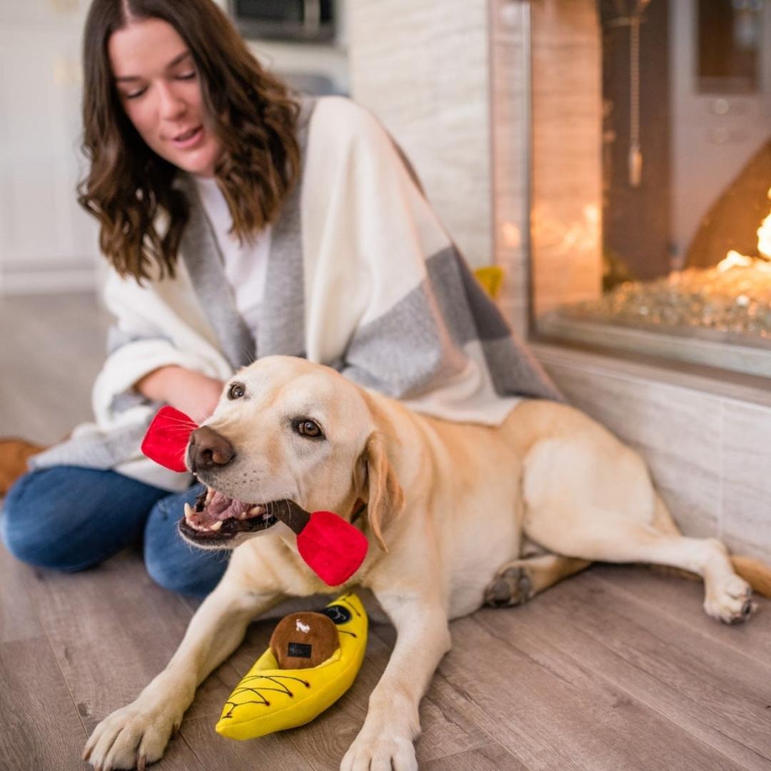 Camp Corbin Toy Collection - Pooch Luxury