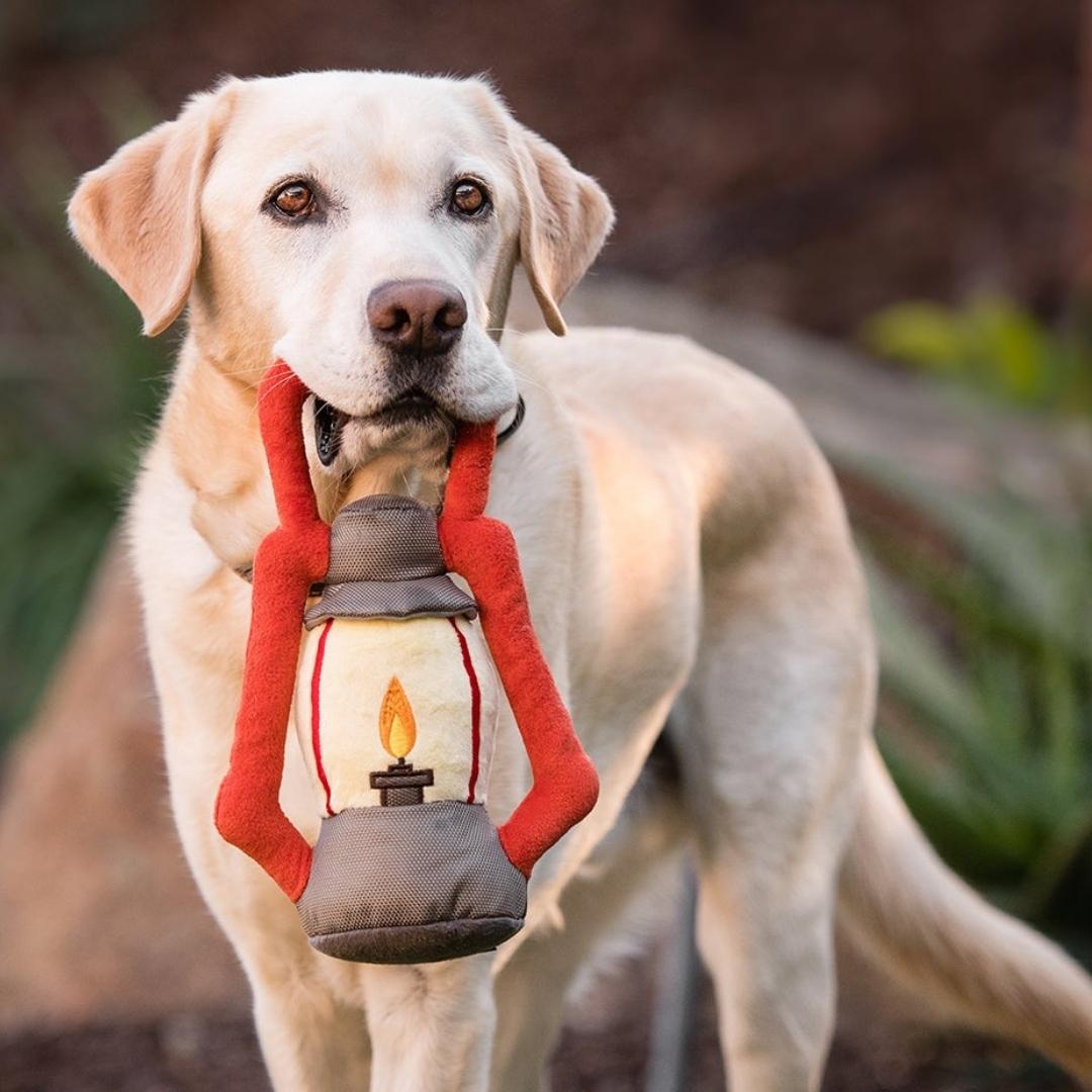 Camp Corbin Toy Collection - Pooch Luxury