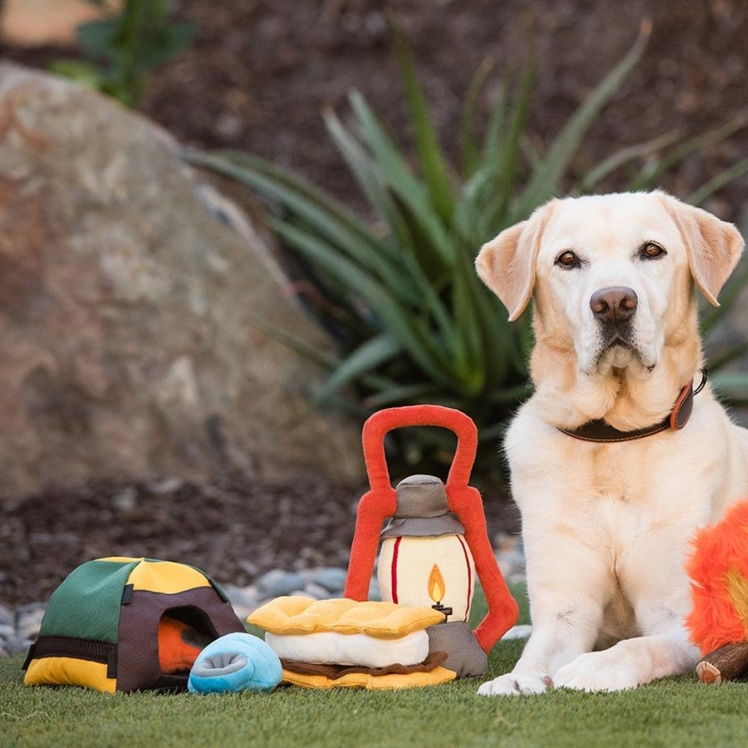 Camp Corbin Toy Collection - Pooch Luxury