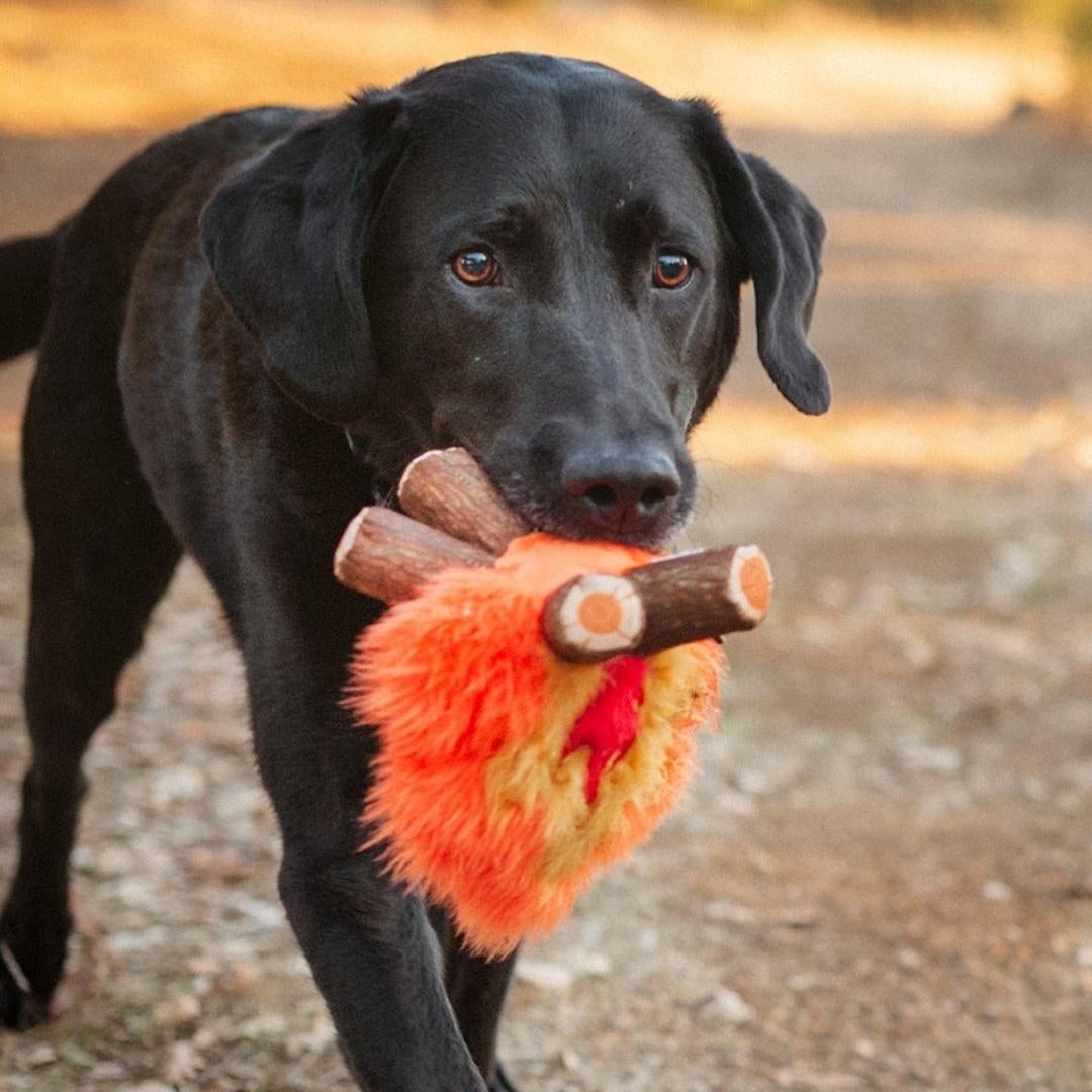 Camp Corbin Toy Collection - Pooch Luxury