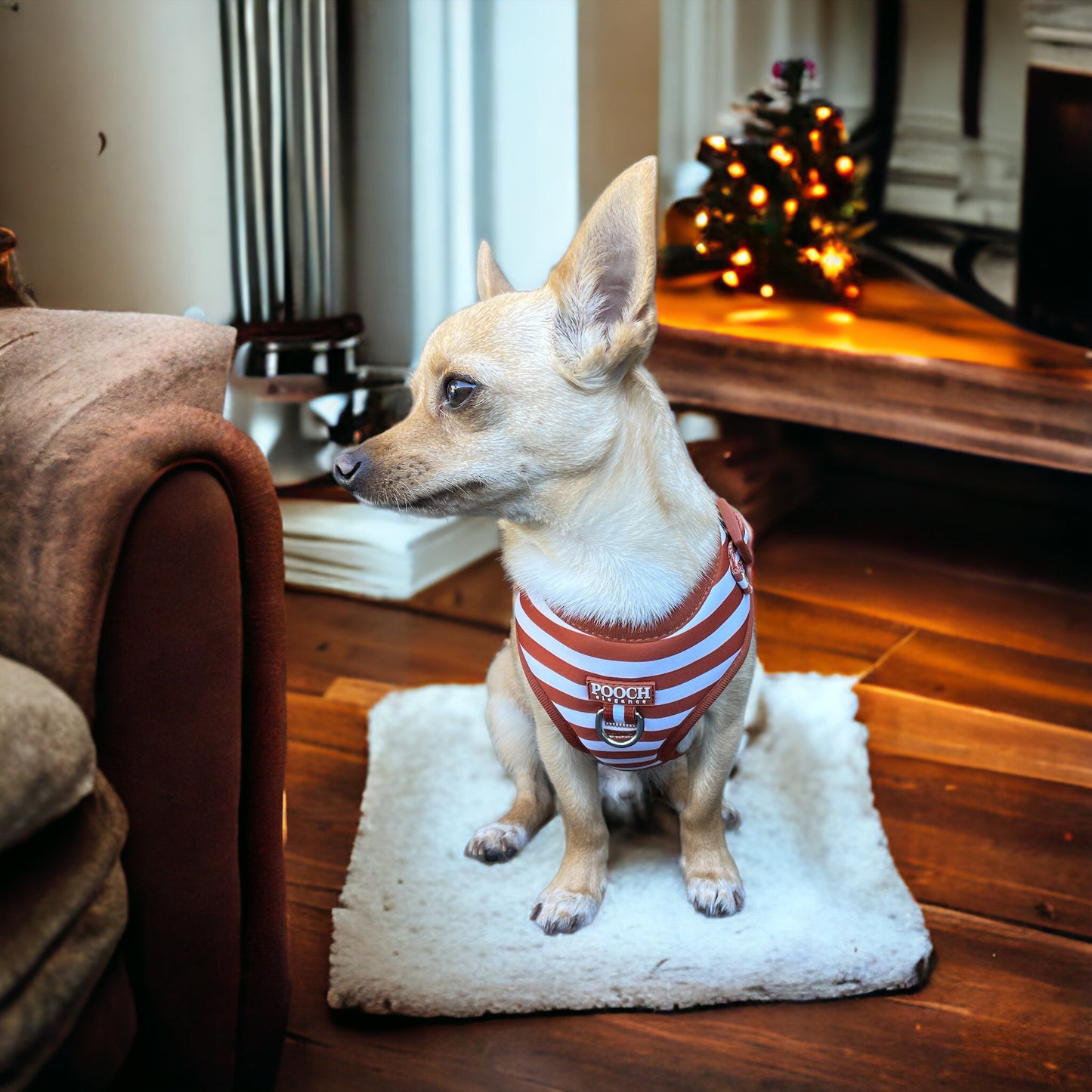 Carnival Stripe - Caramel Adjustable Harness - Pooch Luxury