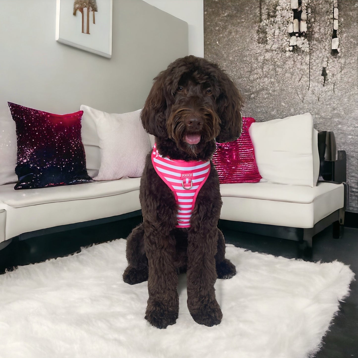 Carnival Stripe - Pink Adjustable Harness - Pooch Luxury