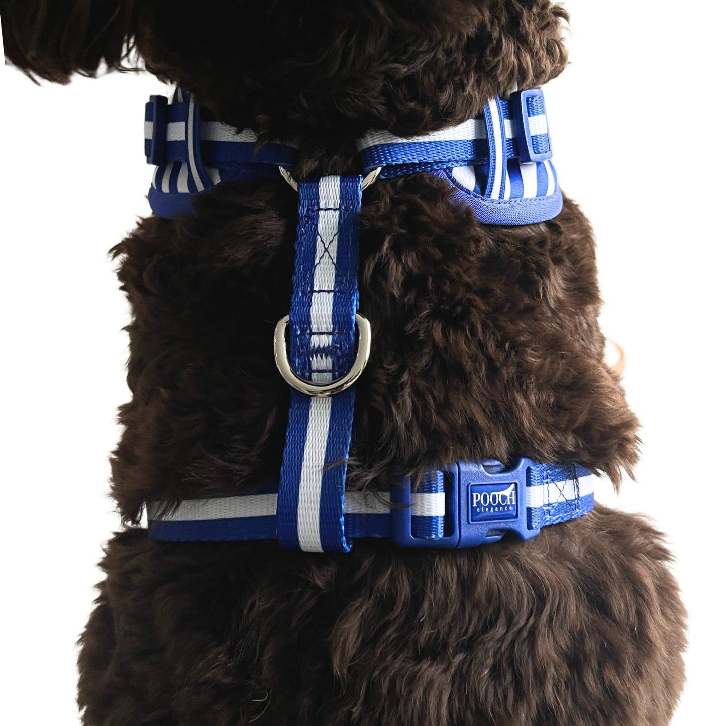 Carnival Stripe - Royal Blue Adjustable Harness - Pooch Luxury