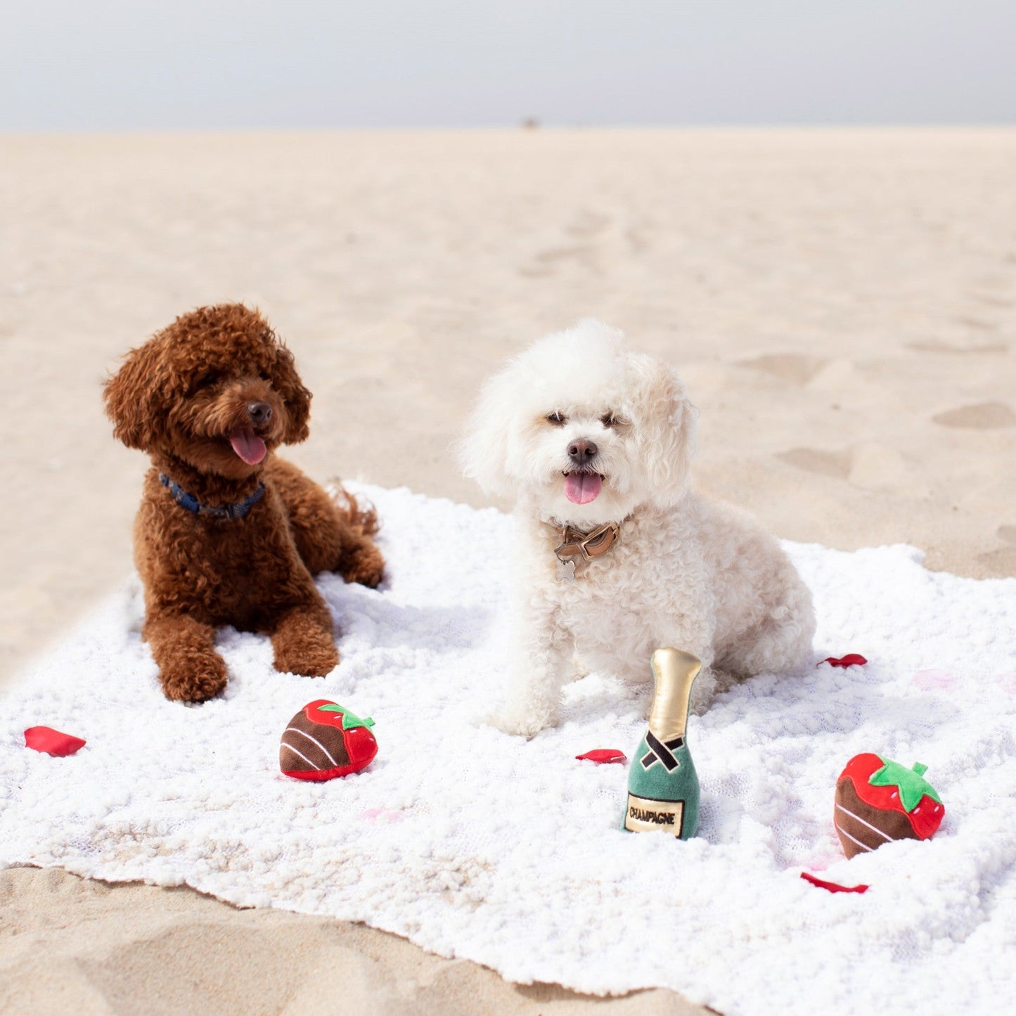 Champagne and Strawberries 3 Piece Small Dog Toy Set - Pooch Luxury