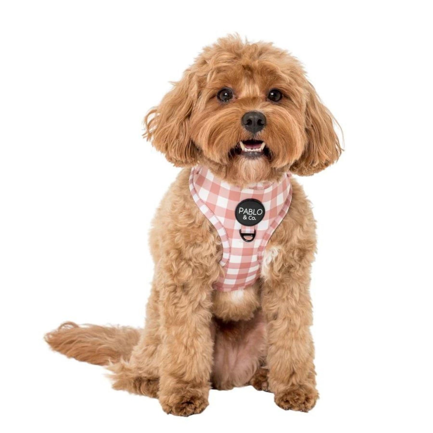 Chocolate Gingham Adjustable Harness - Pooch Luxury