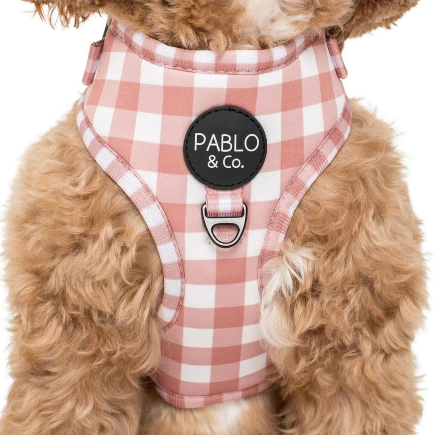 Chocolate Gingham Adjustable Harness - Pooch Luxury