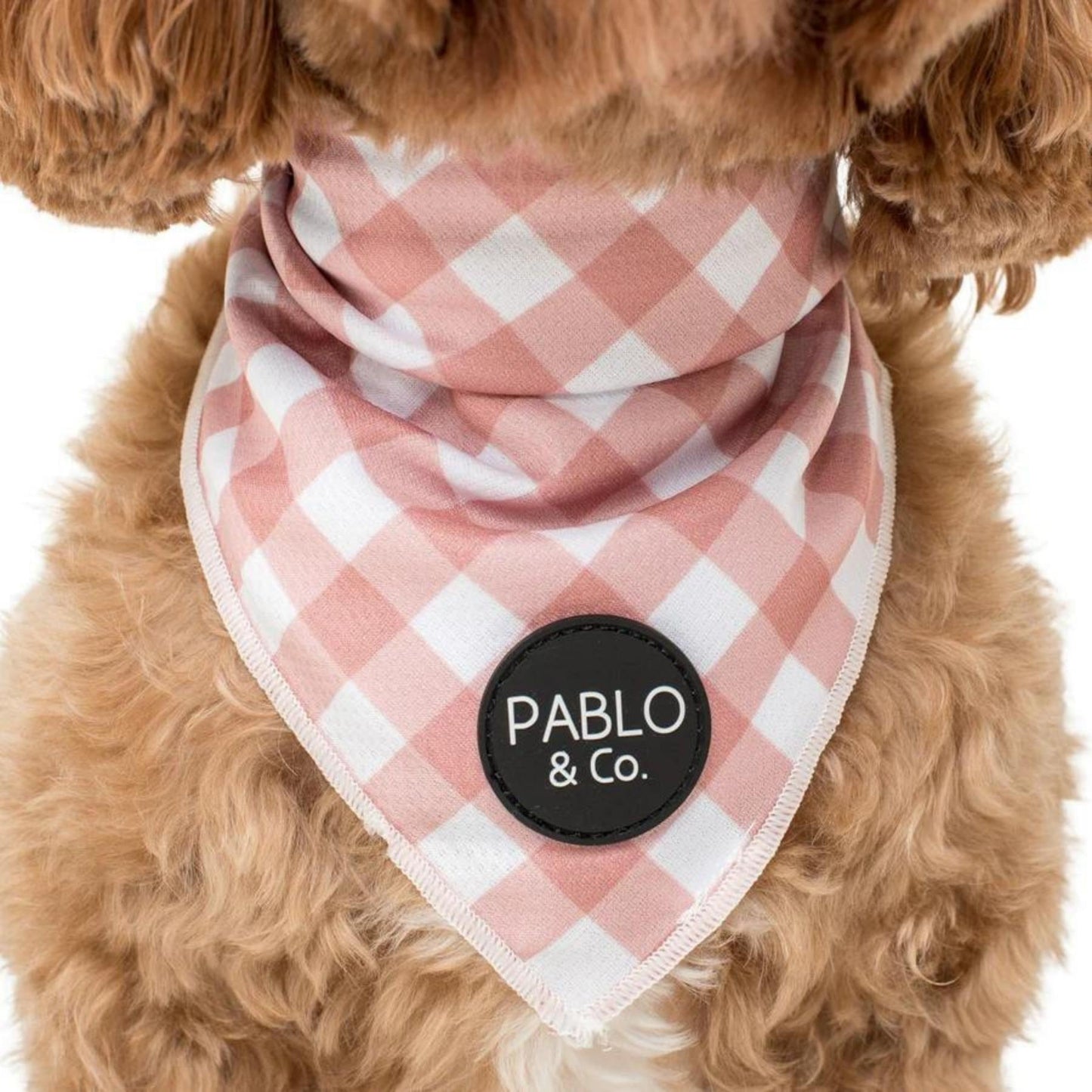 Chocolate Gingham Dog Bandana - Pooch Luxury