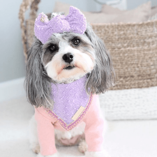 Coco Runway - La Belle Vie Bandana - Pooch Luxury
