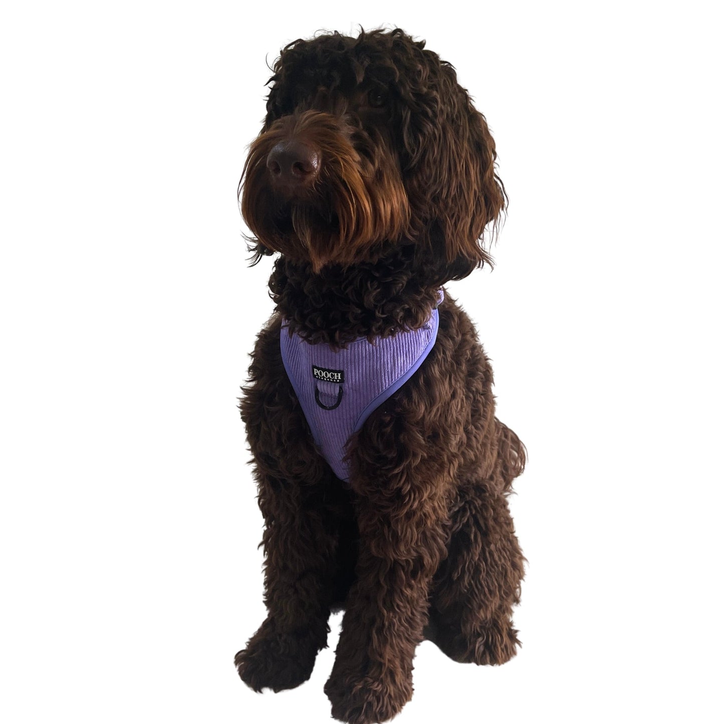 Corduroy Adjustable Harness - Dusty Purple - Pooch Luxury