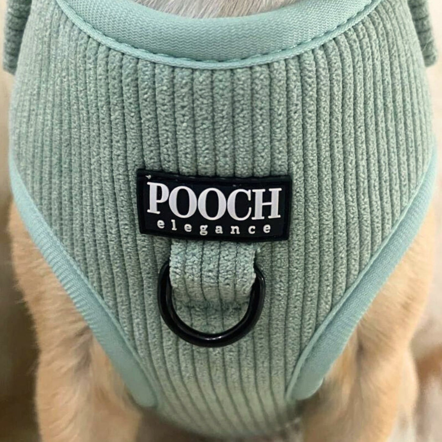 Corduroy Adjustable Harness - Green Mist - Pooch Luxury