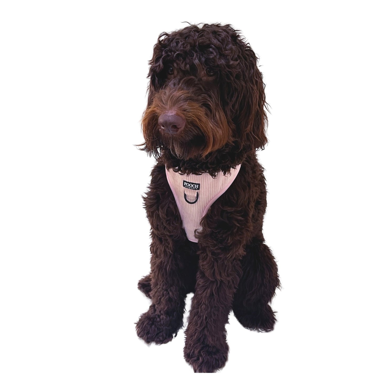 Corduroy Adjustable Harness - Powdered Pink - Pooch Luxury