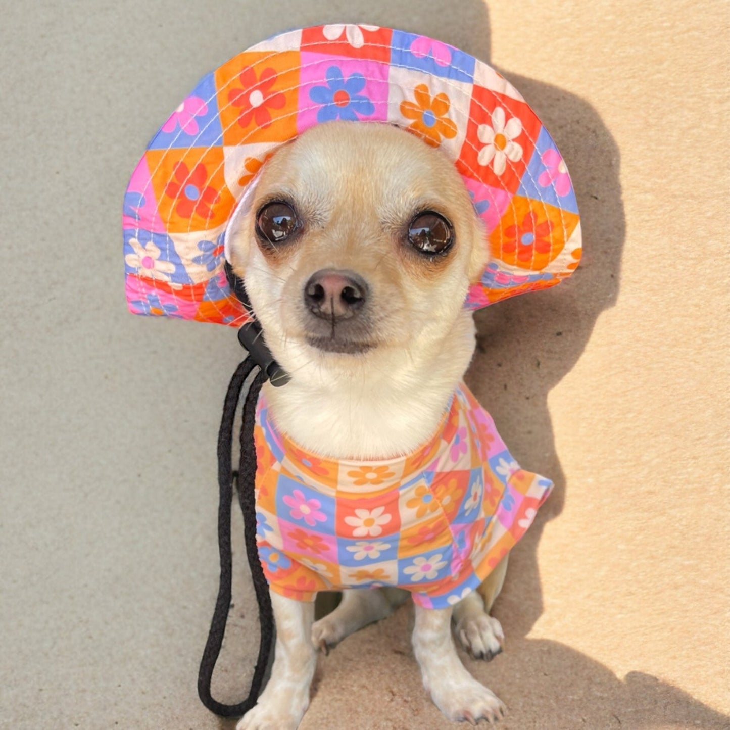 
                  
                    Daisies For Days Dog Bucket Hat - Pooch Luxury
                  
                