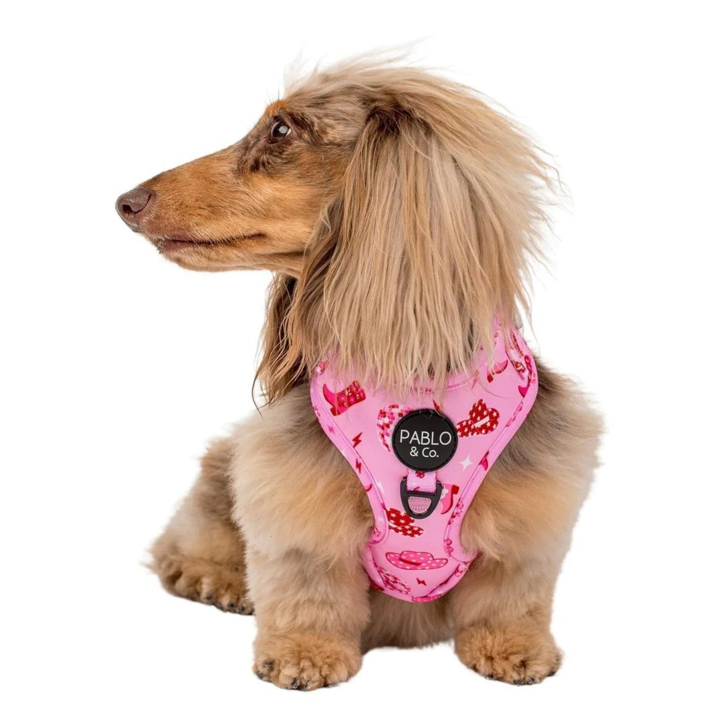 Disco Cowgirl Adjustable Dog Harness - Pooch Luxury