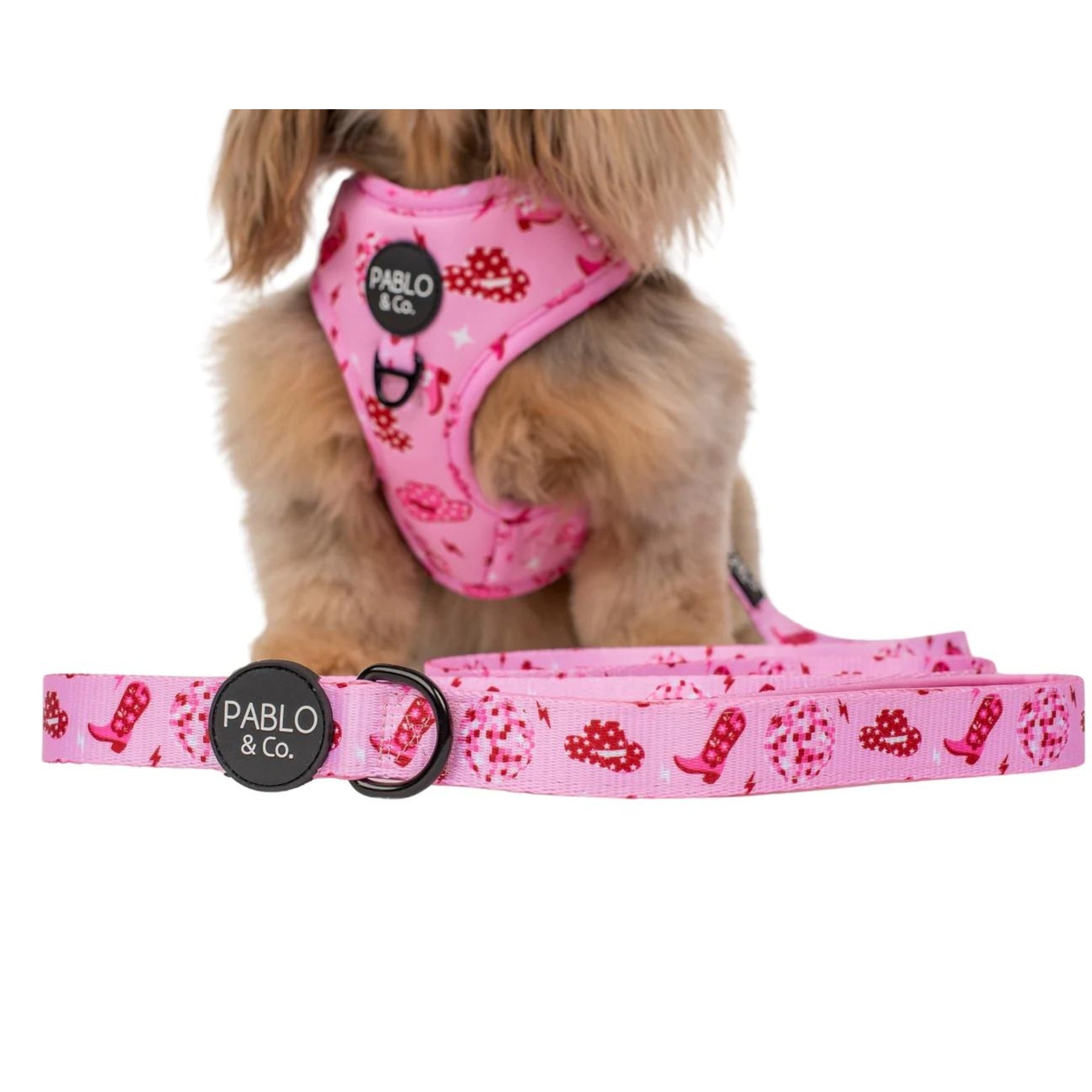 Disco Cowgirl Dog Leash Pooch Luxury